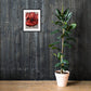 Framed print in a room — preview