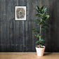 Framed print in a room — preview