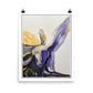 Grand Awakening — Fine Art Print