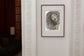 Lucid Dream — preview in an elegant white-walled room (room photo is a preview only)